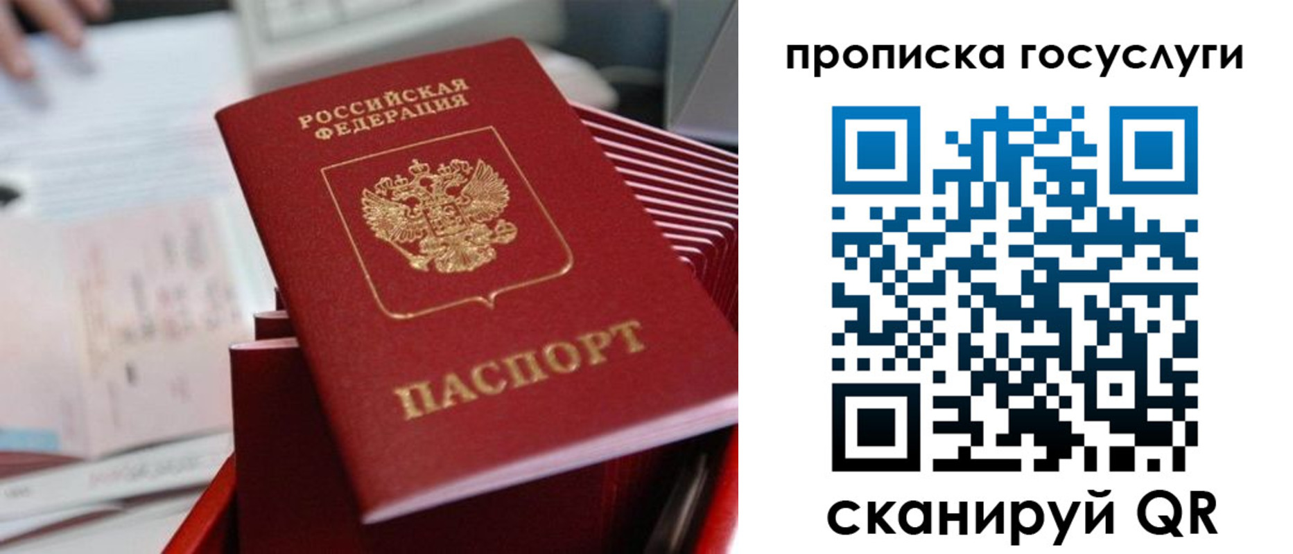 прописка законно в Александровске-Сахалинском